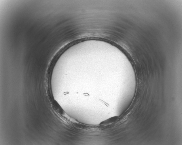 X0000070201119200606232031