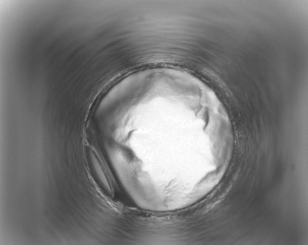 X0000070201121200606232031