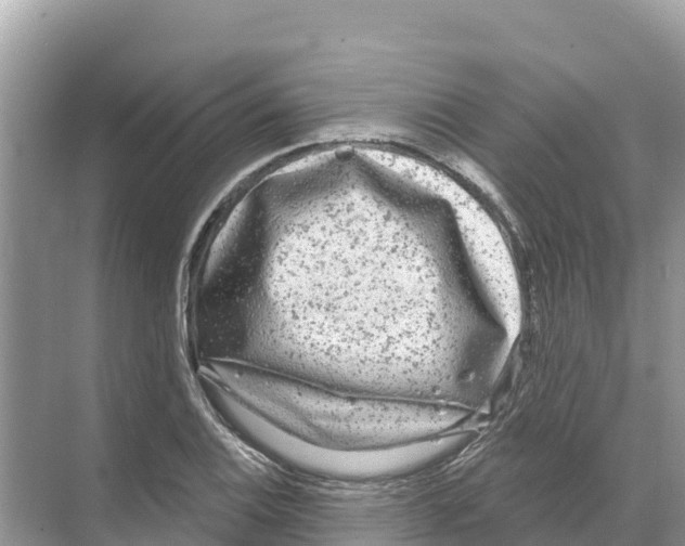 X0000070201124200606232032