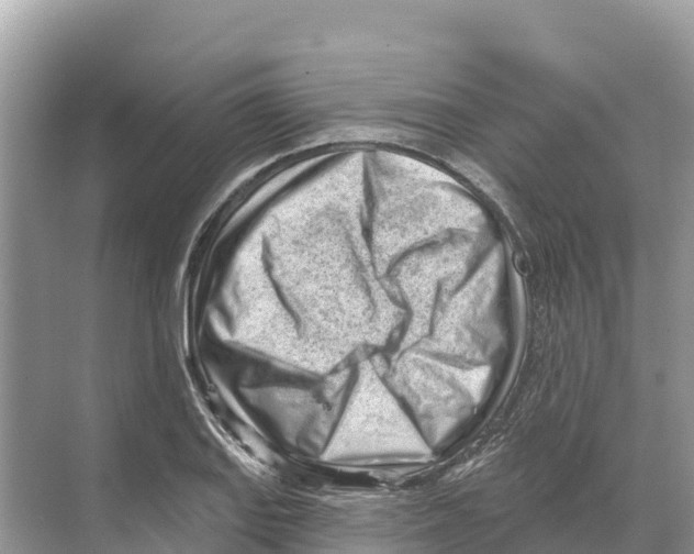 X0000070201127200606232032