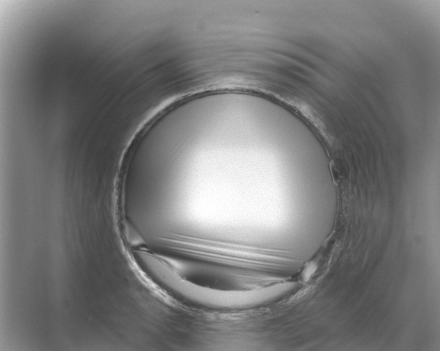 X0000070201134200606232032