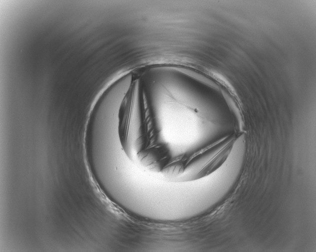 X0000070201138200606232032