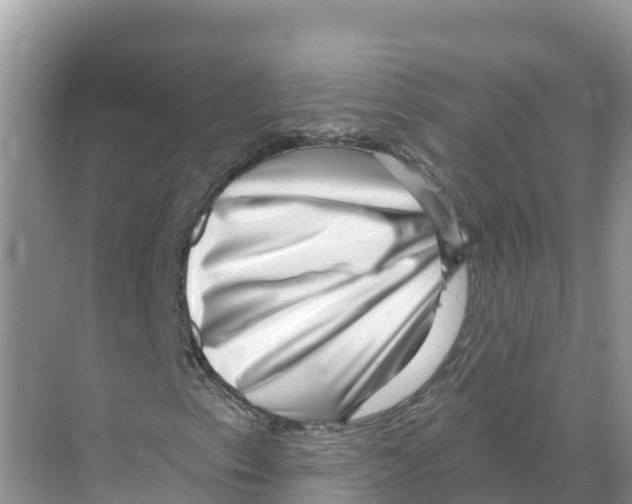 X0000070201153200606232031