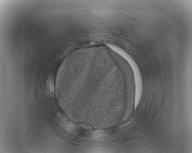X0000070201155200606232031