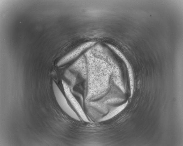 X0000070201156200606232031
