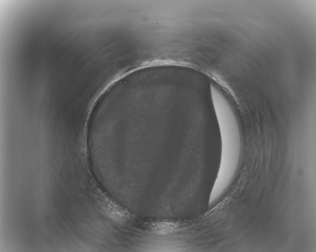 X0000070201173200606232031