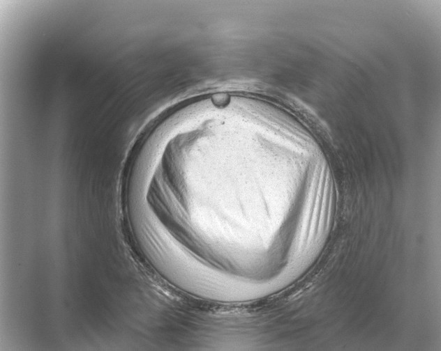 X0000070201174200606232031