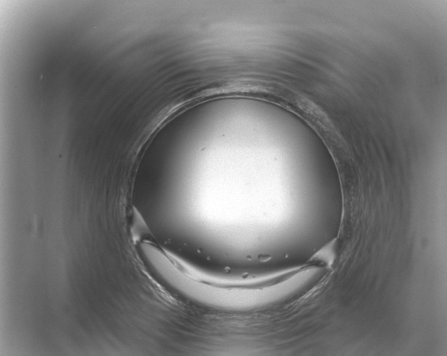 X0000070201177200606232031