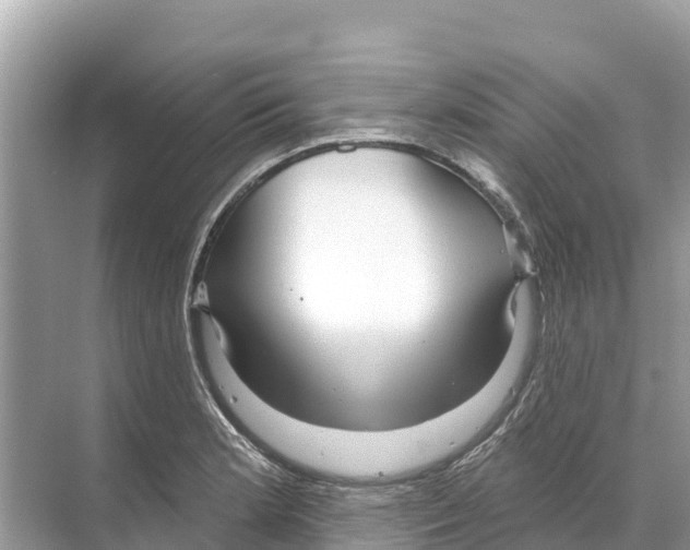 X0000070201181200606232031