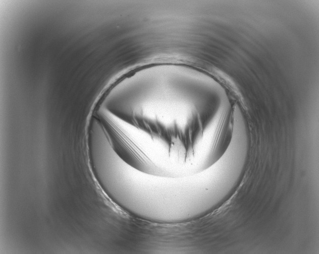 X0000070201192200606232031