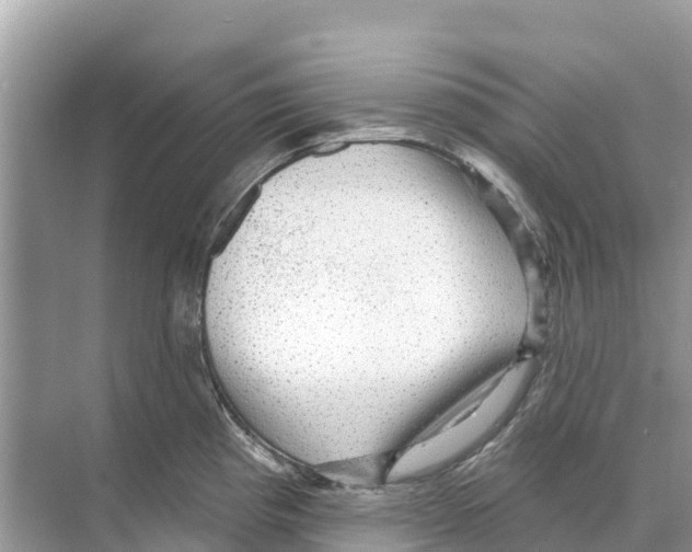 X0000070201193200606232031