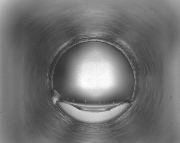 X0000070201210200606232030