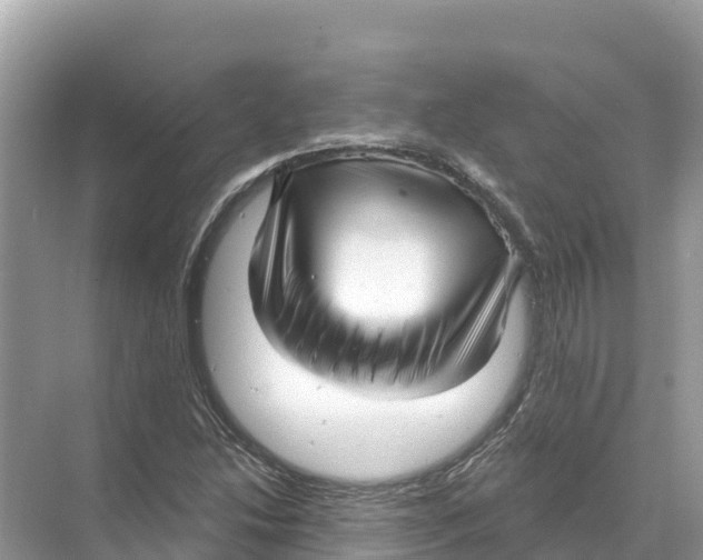 X0000070201214200606232030