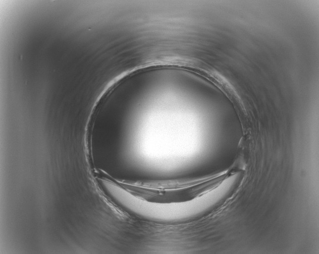 X0000070201230200606232030