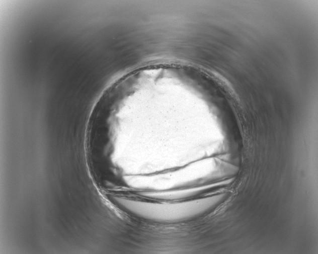 X0000070201231200606232030