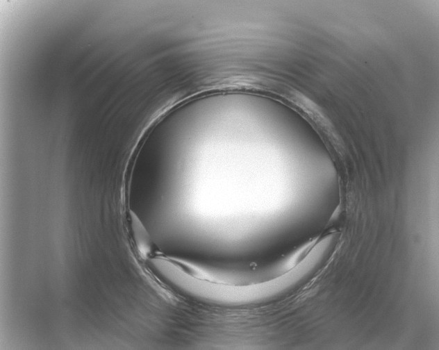 X0000070201234200606232030