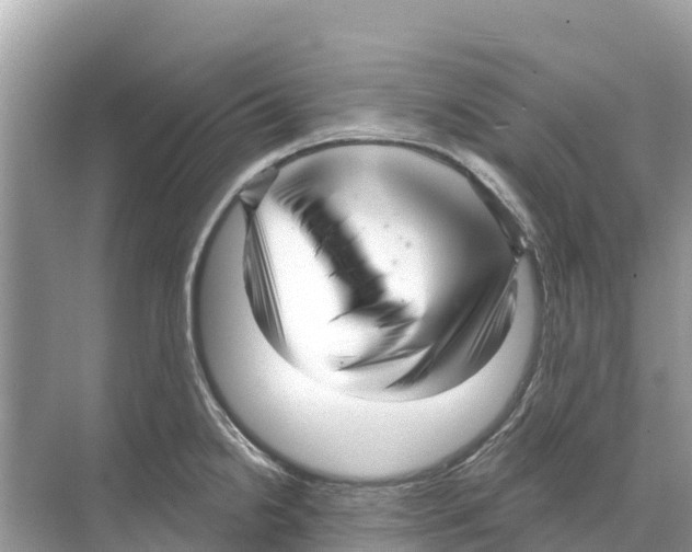 X0000070201238200606232030
