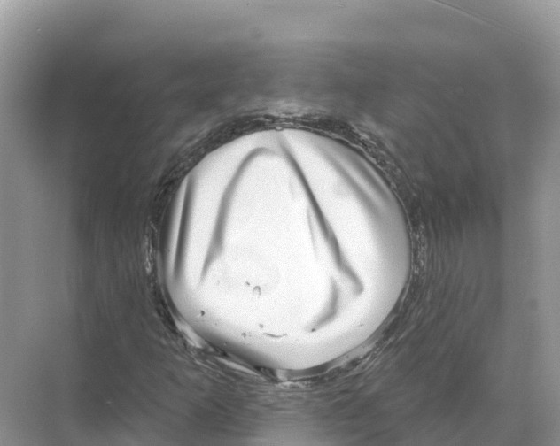 X0000070201253200606232029