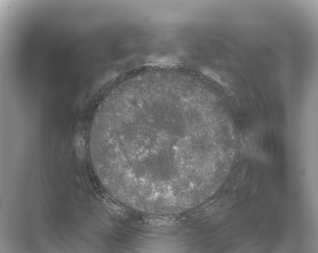 X0000070201254200606232029