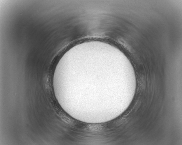 X0000070201258200606232029