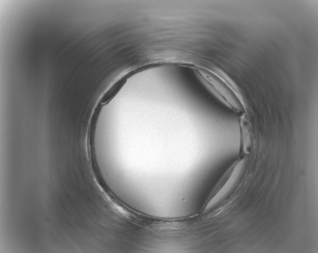 X0000070201293200606232029