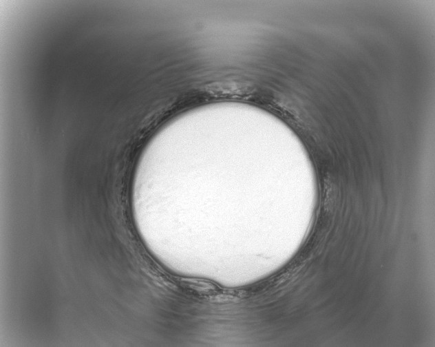 X0000070201297200606232028