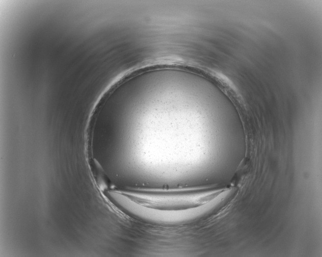 X0000070201326200606232028