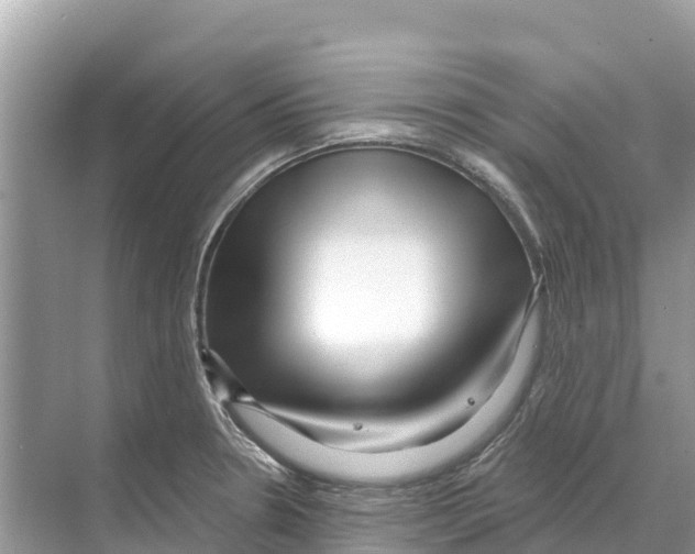 X0000070201330200606232029