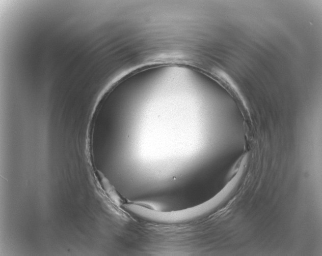 X0000070201336200606232029