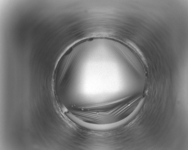 X0000070201340200606232029