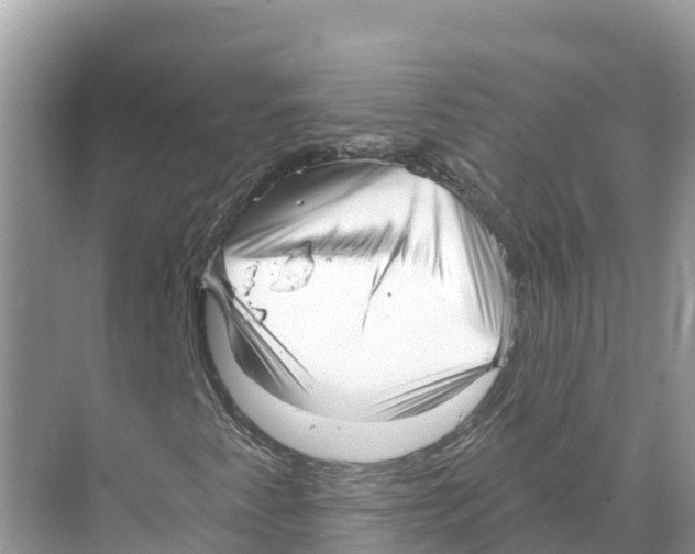 X0000070201345200606232028