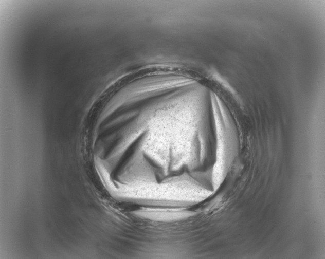 X0000070201352200606232028