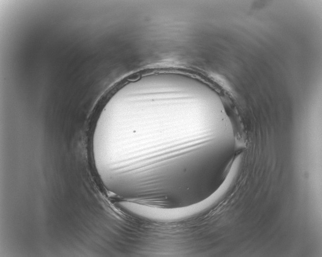 X0000070201356200606232028