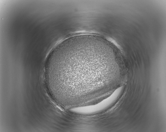 X0000070201357200606232028