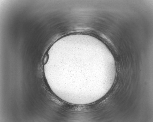 X0000070201362200606232028