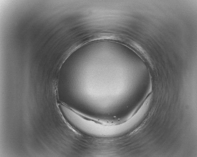 X0000070201377200606232027
