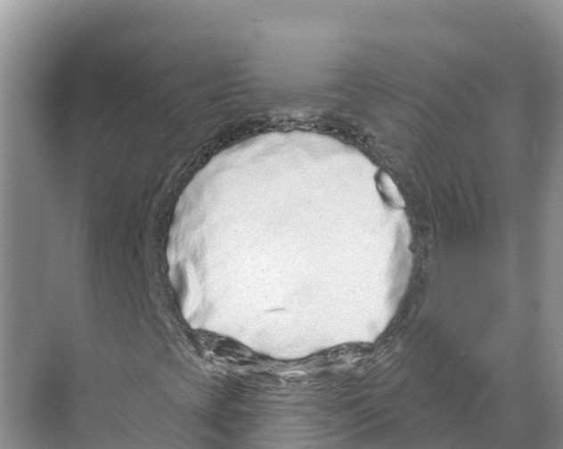 X0000070201393200606232026