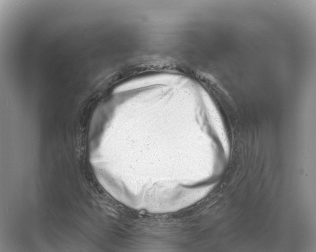 X0000070201399200606232026