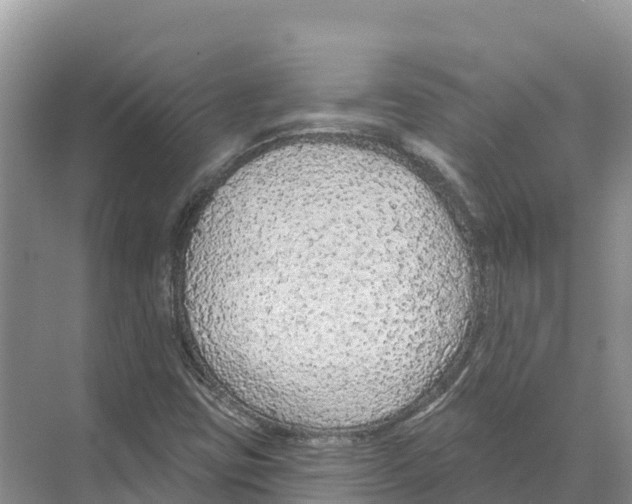X0000070201403200606232026