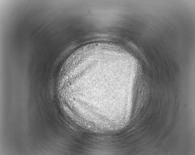 X0000070201411200606232027