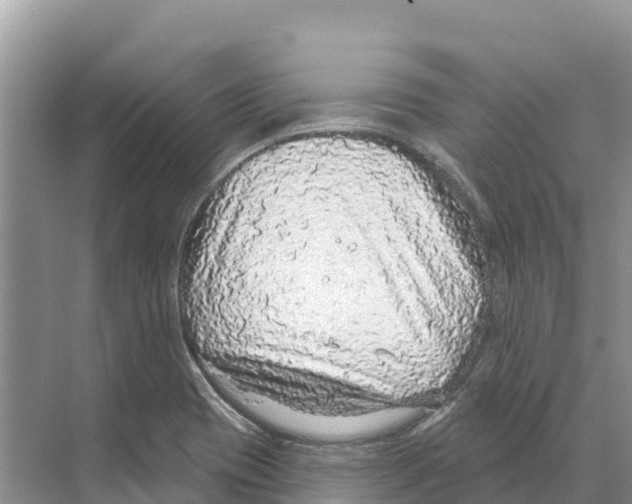 X0000070201417200606232027