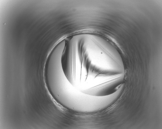 X0000070201426200606232027