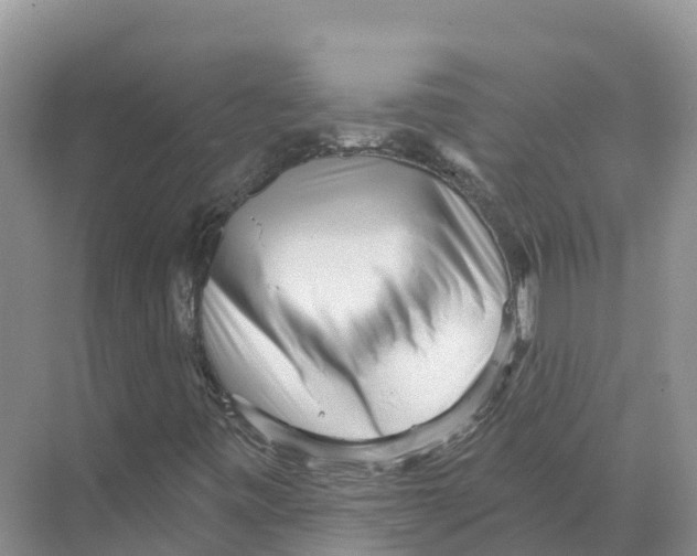 X0000070201443200606232026