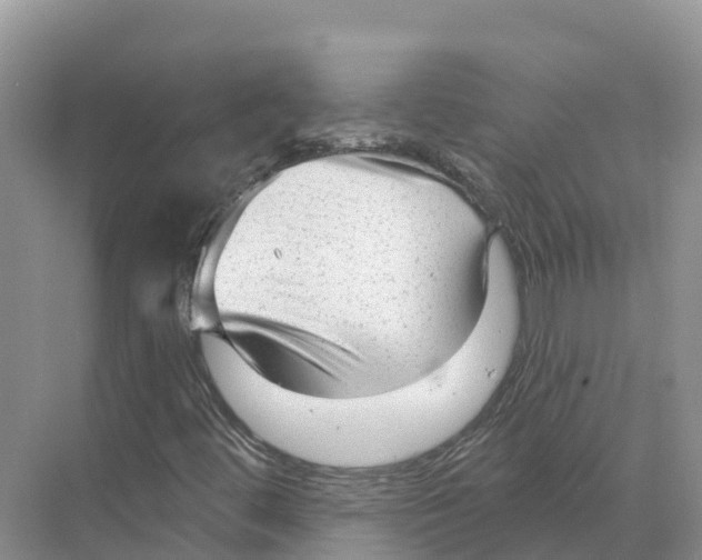 X0000070201444200606232026