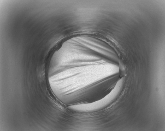 X0000070201450200606232026