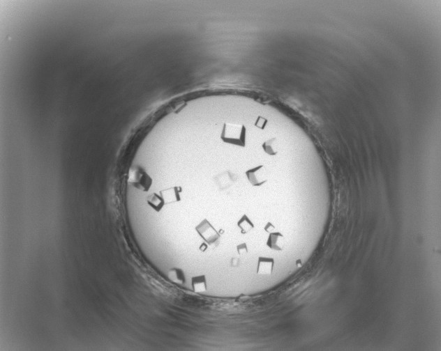 X0000070201454200606232026