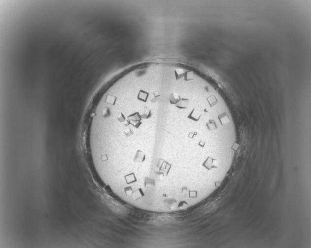 X0000070201462200606232026