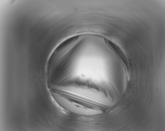 X0000070201532200606232025