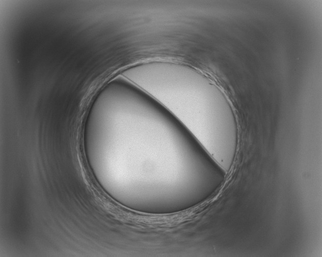 X0000070210001200605261114