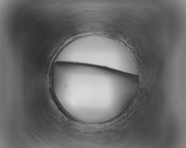 X0000070210002200605261114